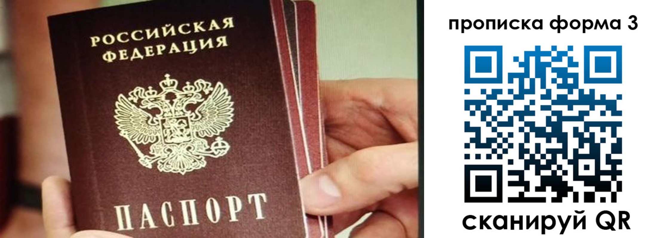 прописка законно в Губахе